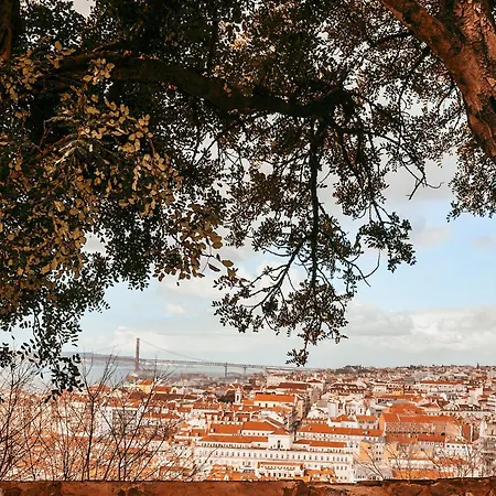 Апартаменти Kalathos By Gt House Лісабон